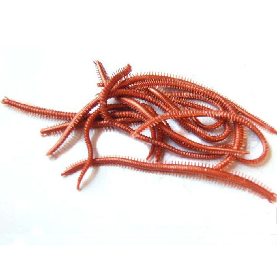 10PCS/Lot Artificial Sea Worms - огляд і ціна Fishing Lure Making Kit